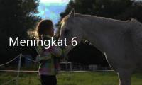 Meningkat 60 Kali Lipat! Aset Investor KayaSmart+ Melejit di 2025