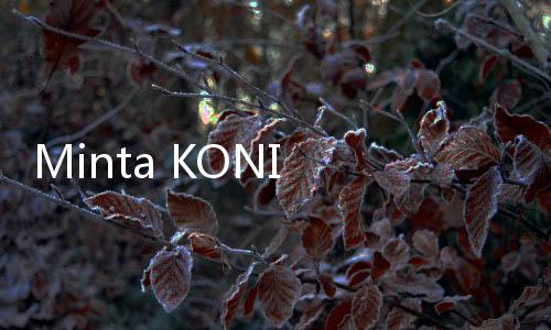 Minta KONI DKI Godok Atlet Unggulan Jakarta, Ketua DPRD: Monopoli Kejuaraan Tingkat Daerah!
