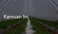 Ramuan Ini Ampuh Usir Cacing di Kamar Mandi