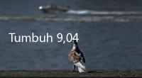 Tumbuh 9,04%, Visi Telekomunikasi Infrastruktur (GOLD) Raih Pendapatan Rp52,04 M di 2024